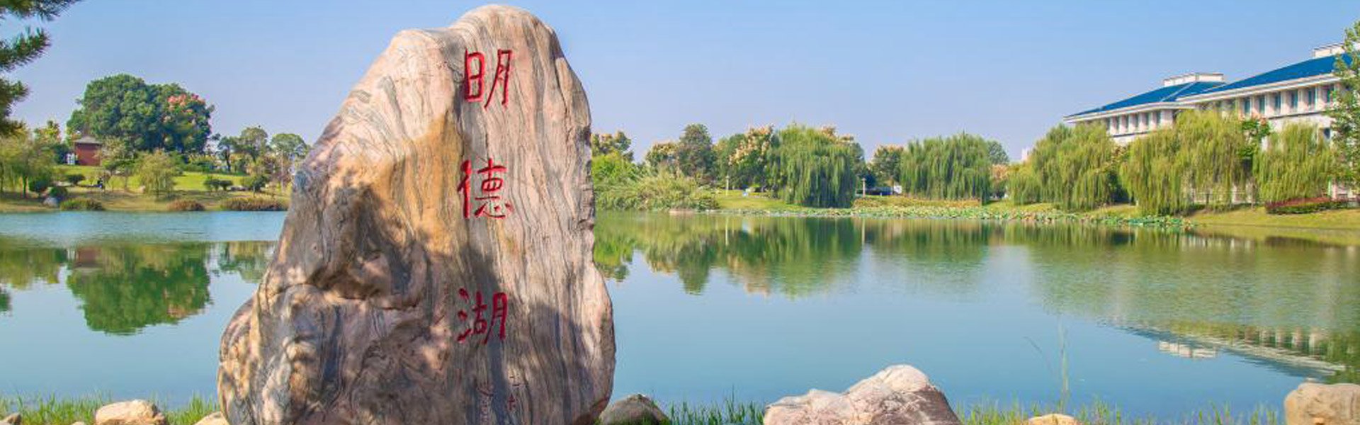 李延晖教授团队研究成果获省领导高度评