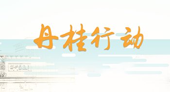国际菁英班首批毕业生全员上岸世界百强名校